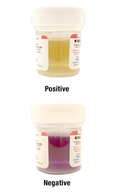 WaterWorks™ Bacteria Check Mini (2 tests)
